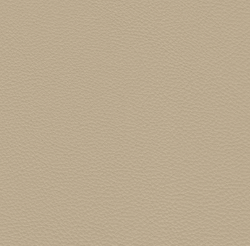 Beige Leather
