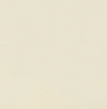 White Leather